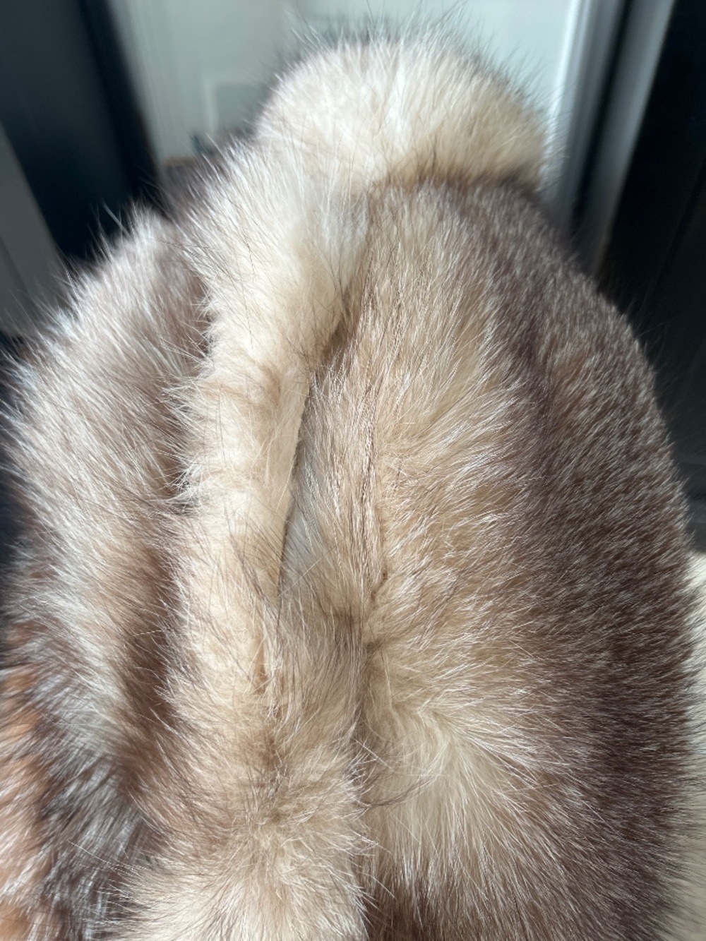 Mink Coat - Picture 4 of 5